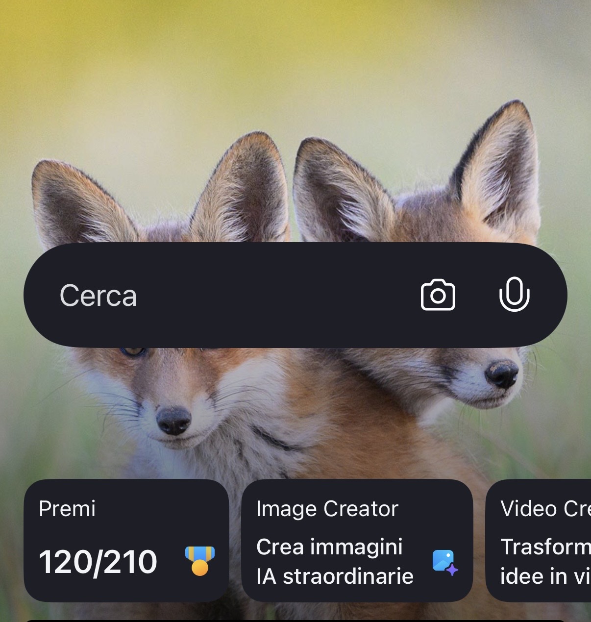 Punti post attività APP